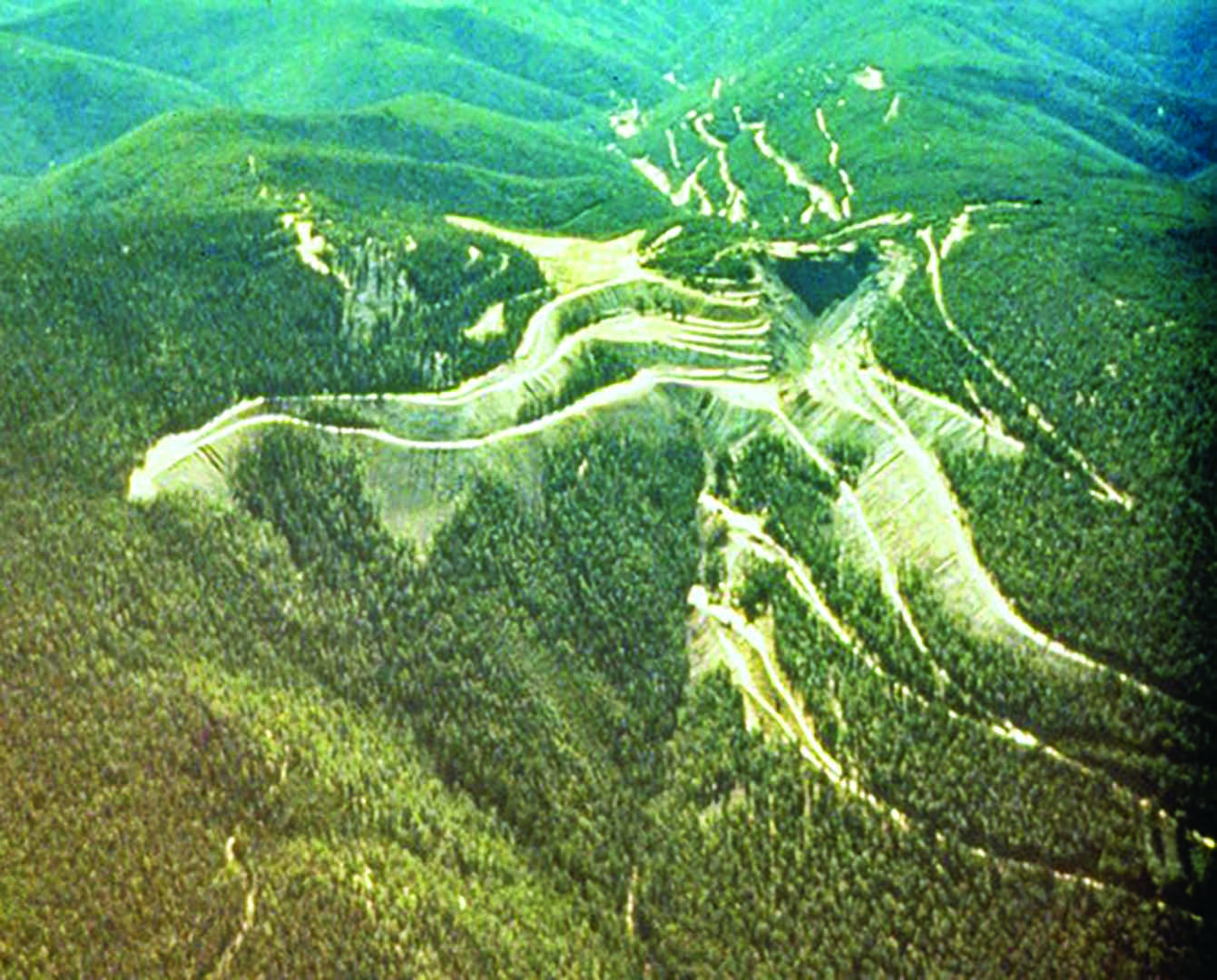 photo-8-blacktail-openpit